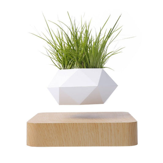 MIRO - Magnetic Levitating Flower Pot